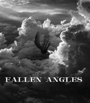 ¥ Fallen Angels ¥