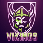 Viking Group 3