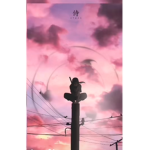NarutoCollection