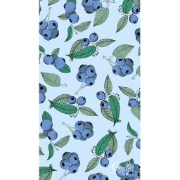 aesthetic bluebberry