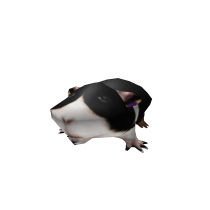 pandy
