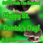 RATS Rule The Sewers!