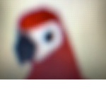 Adopt me: Parrot Squad