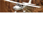 Ryan Walker Flight School