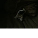Pugslys squad