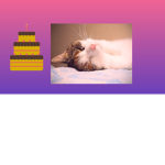 dogies and cats