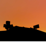 Sunset animals forever