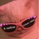 Dashka kakashka