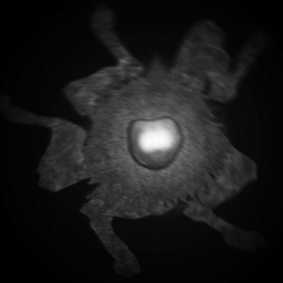 THE 10TH SPIRIT: Remastered