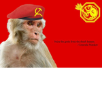 THE MONKE UNİON