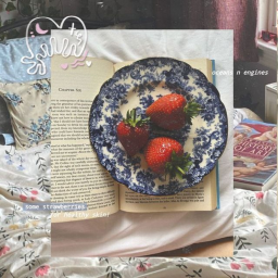 🍓༄.°📸