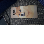 Wooooof doge