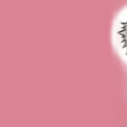 ˚⊱ ♡ ⊰˚ icon