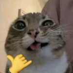 el donador de robux
