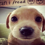 pookie ;0