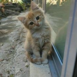 <3
