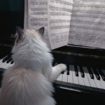 pianokittn Group Thumbnail