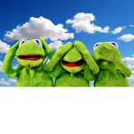 kermit only (: