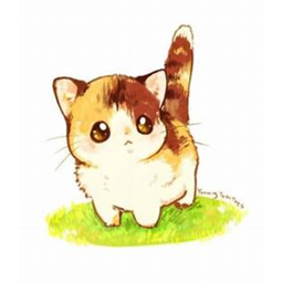 cat island