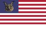 United Flops of America ᅠ