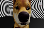 Junkbot Studios YAS