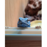 Blue The Lizard