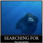 Sea Banana
