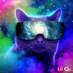 Epic kitty group