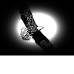 DarkWrath Studios