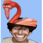 Flamingo fan only allowed in here