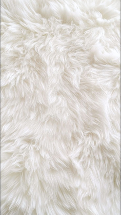 Plain Huge Painting