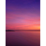 SUNSETFLOWER