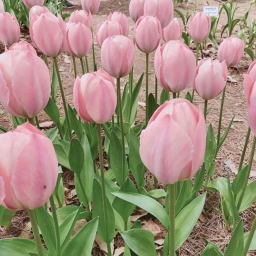 ୨୧