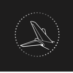 {INT} Silver Airways