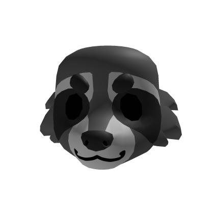 Raccoon Head