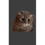 Mefraind