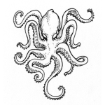 House Octopus
