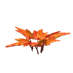Maple Hat