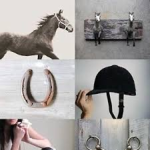 Horse girl bffs