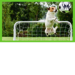 DOR FC