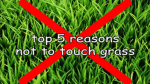 ɔƃn ɔᴉƃɐɯ Group Thumbnail