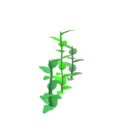 Low Poly Kelp Pack