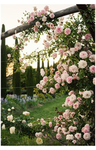*Flowergarden*