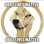 DOGE LIVE MATTER