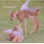 amefhul