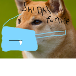 Shiba's Life!