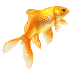 donation: fishy dots