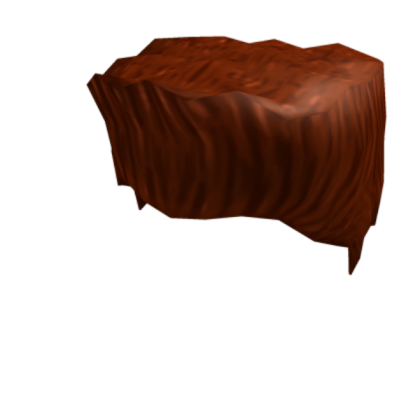 brown hair and stuff Roblox decal