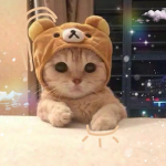 Henry’s ugc