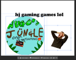 HJGaming Fan Group